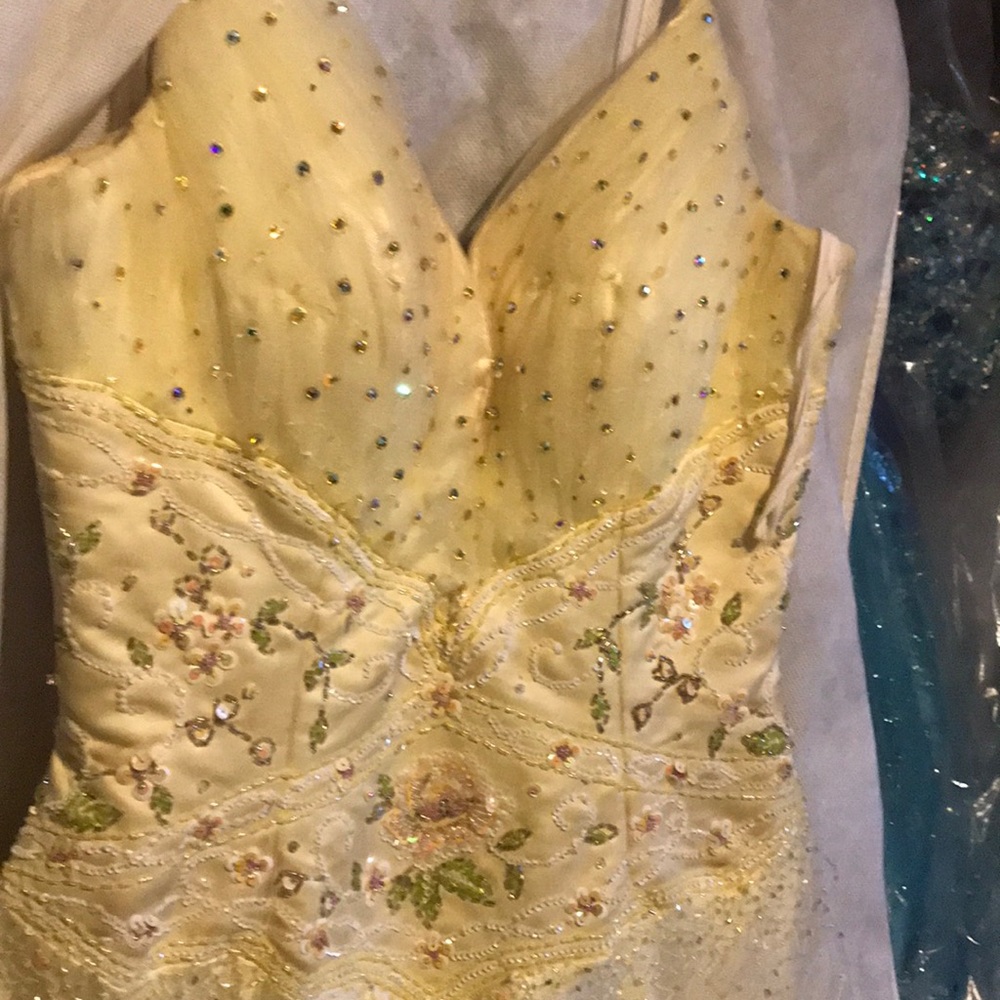 Belle inspired prom dress